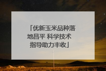 优新玉米品种落地昌平 科学技术指导助力丰收