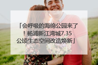 会呼吸的海绵公园来了！杨浦新江湾城7.35公顷生态空间改造焕新