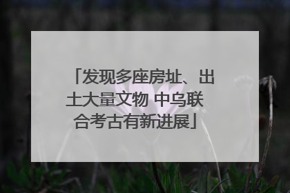 发现多座房址、出土大量文物 中乌联合考古有新进展