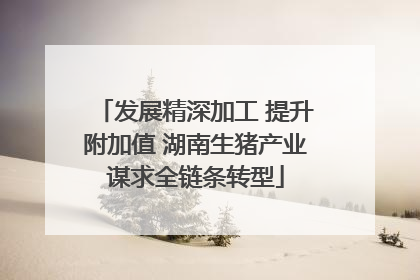 发展精深加工 提升附加值 湖南生猪产业谋求全链条转型