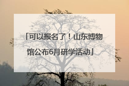 可以报名了！山东博物馆公布6月研学活动