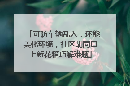 可防车辆乱入，还能美化环境，社区胡同口上新花箱巧解难题