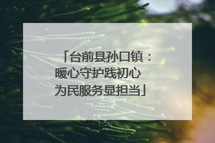 台前县孙口镇：暖心守护践初心 为民服务显担当