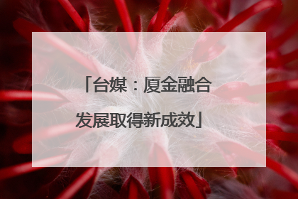 台媒：厦金融合发展取得新成效