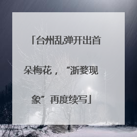 台州乱弹开出首朵梅花，“浙婺现象”再度续写