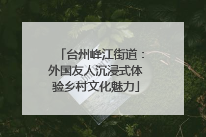 台州峰江街道：外国友人沉浸式体验乡村文化魅力