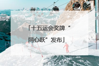 十五运会奖牌“同心跃”发布