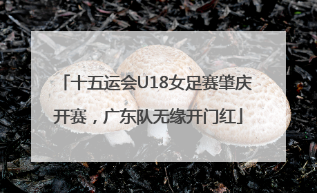 十五运会U18女足赛肇庆开赛，广东队无缘开门红