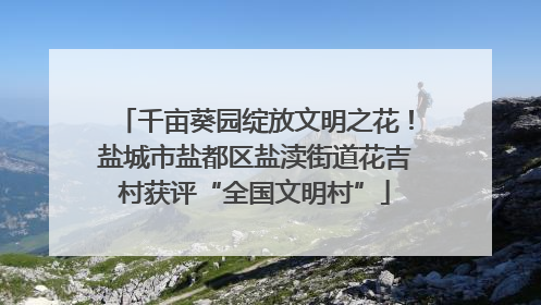 千亩葵园绽放文明之花！盐城市盐都区盐渎街道花吉村获评“全国文明村”