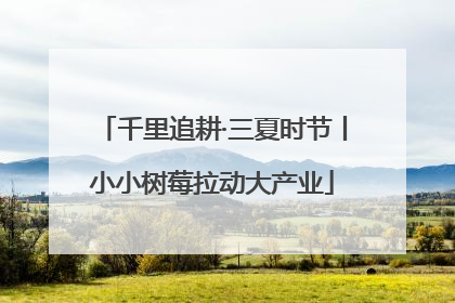 千里追耕·三夏时节丨小小树莓拉动大产业