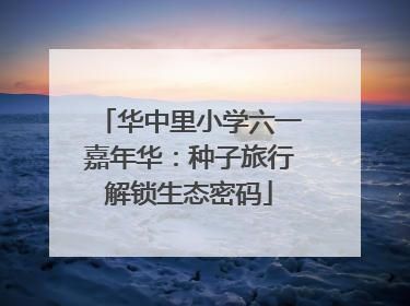 华中里小学六一嘉年华：种子旅行解锁生态密码
