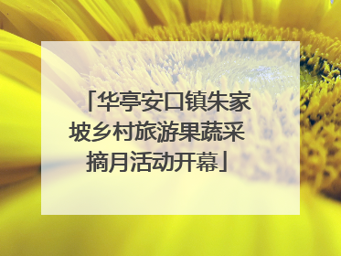 华亭安口镇朱家坡乡村旅游果蔬采摘月活动开幕
