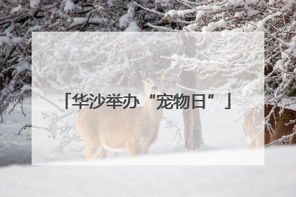 华沙举办“宠物日”