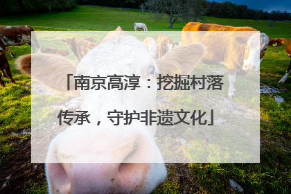 南京高淳：挖掘村落传承，守护非遗文化