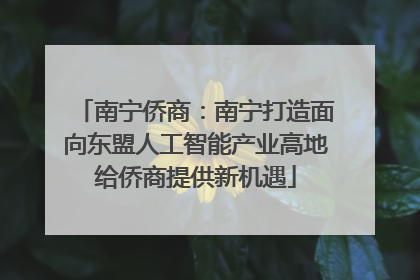 南宁侨商：南宁打造面向东盟人工智能产业高地给侨商提供新机遇