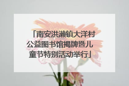 南安洪濑镇大洋村公益图书馆揭牌暨儿童节特别活动举行