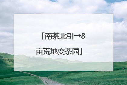 南茶北引→8亩荒地变茶园