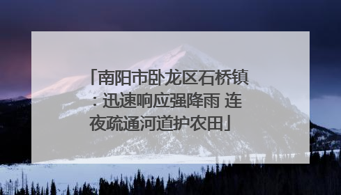 南阳市卧龙区石桥镇：迅速响应强降雨 连夜疏通河道护农田