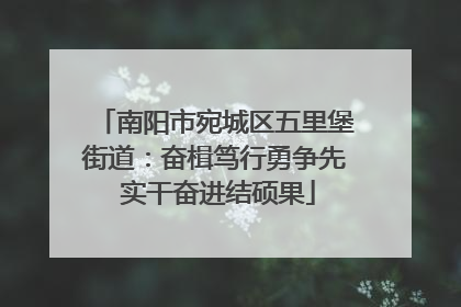 南阳市宛城区五里堡街道：奋楫笃行勇争先 实干奋进结硕果