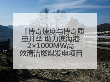 博奇速度与博奇质量并举 助力滨海港2×1000MW高效清洁燃煤发电项目“双投”