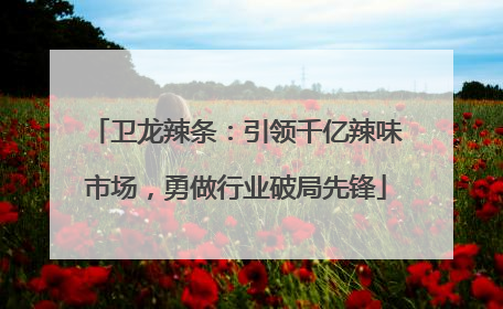 卫龙辣条：引领千亿辣味市场，勇做行业破局先锋