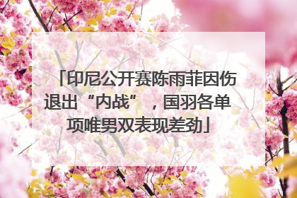 印尼公开赛陈雨菲因伤退出“内战”，国羽各单项唯男双表现差劲