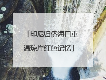 印尼归侨海口重温琼崖红色记忆