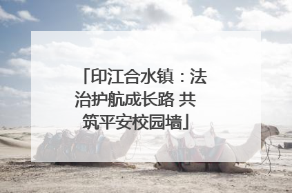 印江合水镇：法治护航成长路 共筑平安校园墙