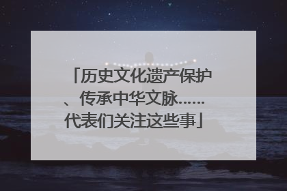 历史文化遗产保护、传承中华文脉……代表们关注这些事