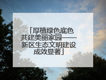 厚植绿色底色 共建美丽家园——新区生态文明建设成效显著