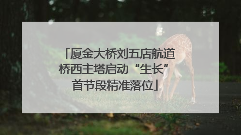 厦金大桥刘五店航道桥西主塔启动“生长” 首节段精准落位