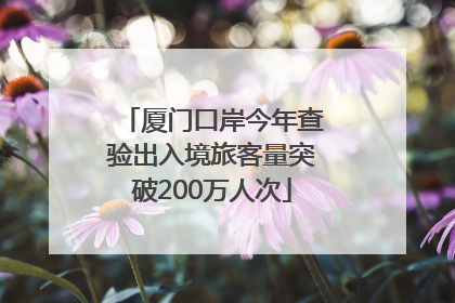 厦门口岸今年查验出入境旅客量突破200万人次