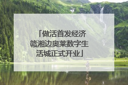 做活首发经济 赣湘边奥莱数字生活城正式开业