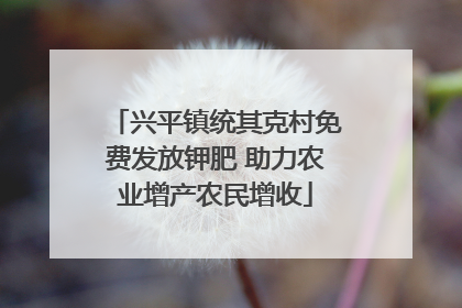 兴平镇统其克村免费发放钾肥 助力农业增产农民增收