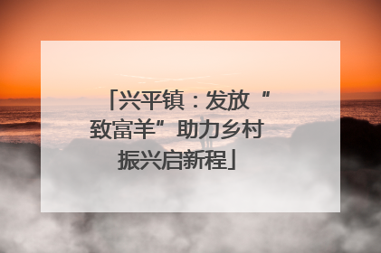 兴平镇：发放“致富羊”助力乡村振兴启新程