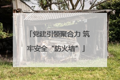 党建引领聚合力 筑牢安全“防火墙”