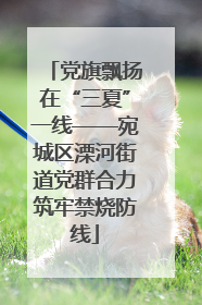 党旗飘扬在“三夏”一线——宛城区溧河街道党群合力筑牢禁烧防线
