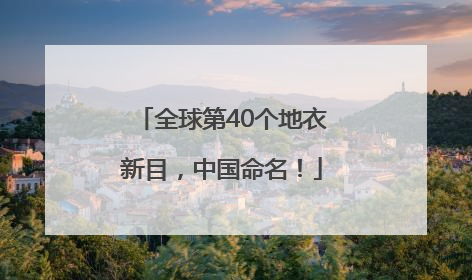 全球第40个地衣新目，中国命名！