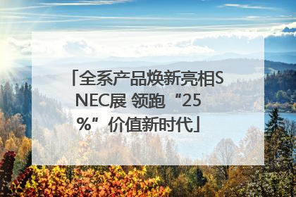 全系产品焕新亮相SNEC展 领跑“25%”价值新时代