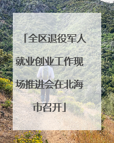 全区退役军人就业创业工作现场推进会在北海市召开