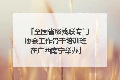 全国省级残联专门协会工作骨干培训班在广西南宁举办