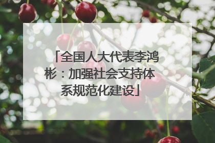 全国人大代表李鸿彬：加强社会支持体系规范化建设