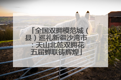 全国双拥模范城（县）巡礼新疆沙湾市：天山北麓双拥花 五届蝉联铸辉煌