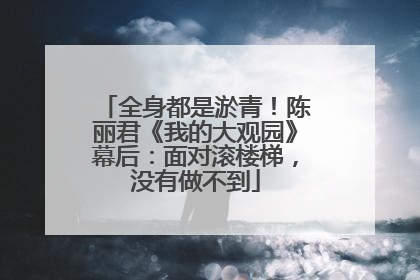 全身都是淤青！陈丽君《我的大观园》幕后：面对滚楼梯，没有做不到