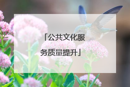 公共文化服务质量提升