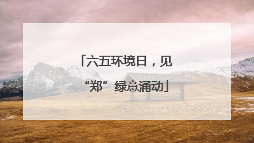 六五环境日，见“郑”绿意涌动