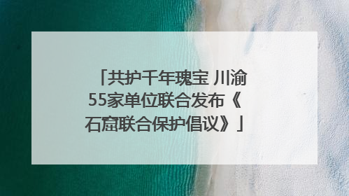 共护千年瑰宝 川渝55家单位联合发布《石窟联合保护倡议》