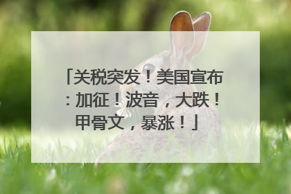 关税突发！美国宣布：加征！波音，大跌！甲骨文，暴涨！