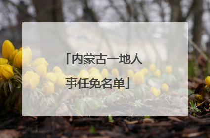 内蒙古一地人事任免名单