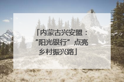 内蒙古兴安盟：“阳光银行”点亮乡村振兴路